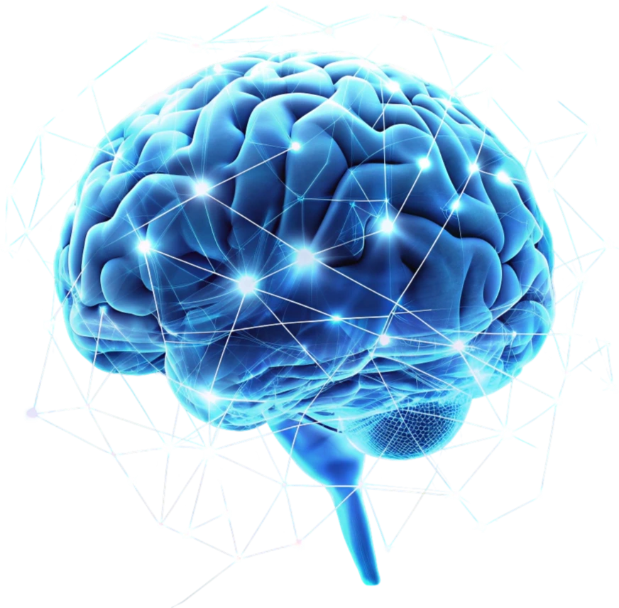 Memory Defender Benefits